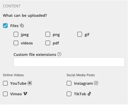 The Content section of the Upload Field settings, headed What can be uploaded? Files is ticked, with checkboxes for jpeg, png, gif, videos and pdf, a box for custom file extensions, and further options for YouTube, Vimeo, Instagram and TikTok.
